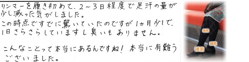 �C�ɂȂ鑫�̏L���Ɍ��ʂ������Ȃ��y���͏��L�C�������}�[�z���T�C�g